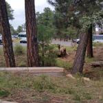 OTRA_2016_0091 (October 08, 2016)